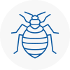 Bed Bug Extermination In Stranraer