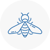 Bee Nest Removal Stranraer