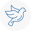 Bird Prevention Stranraer