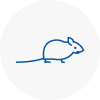 Mice Exterminators In Stranraer
