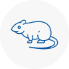 Rat Control Stranraer