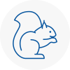 Stranraer Rodent Removals